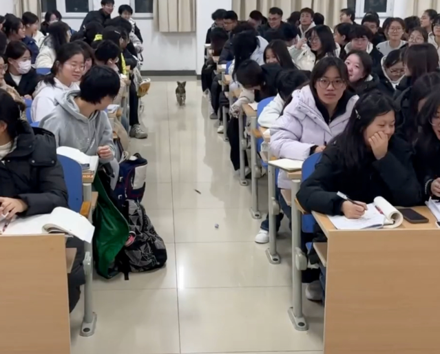 依托心思健康教育的科学方法增强思维政治教育的感染力与实效